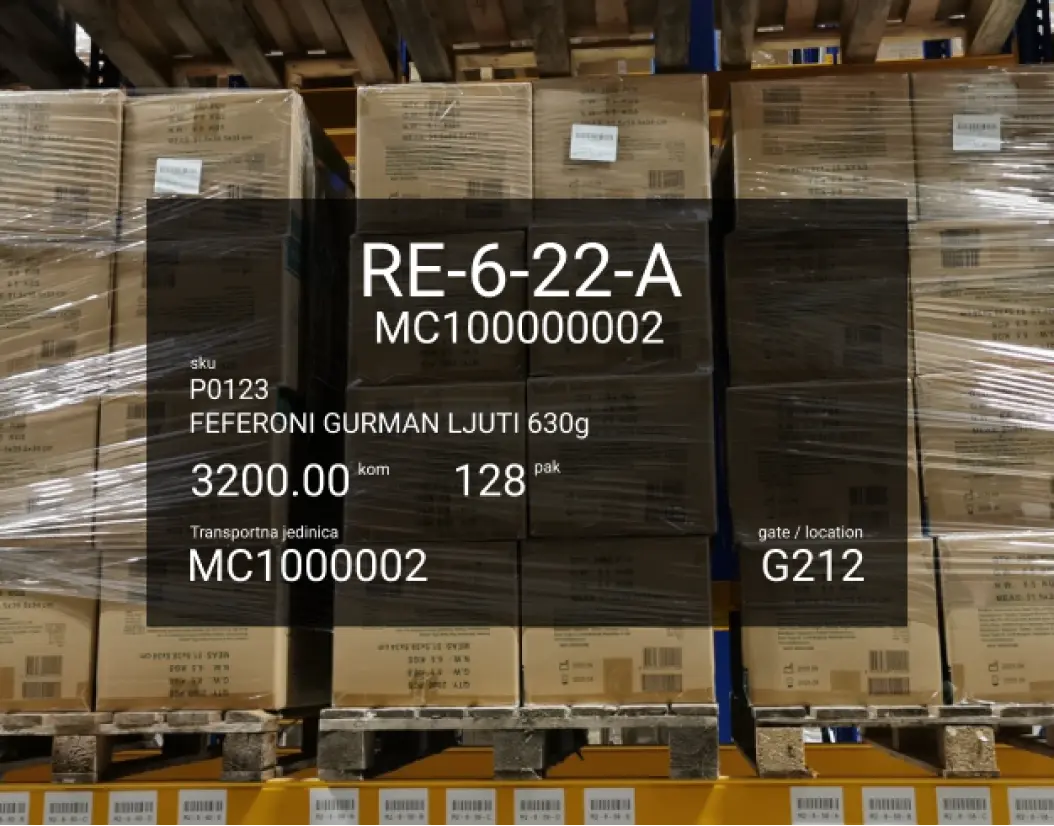 Google glass - Smartbit wms piking